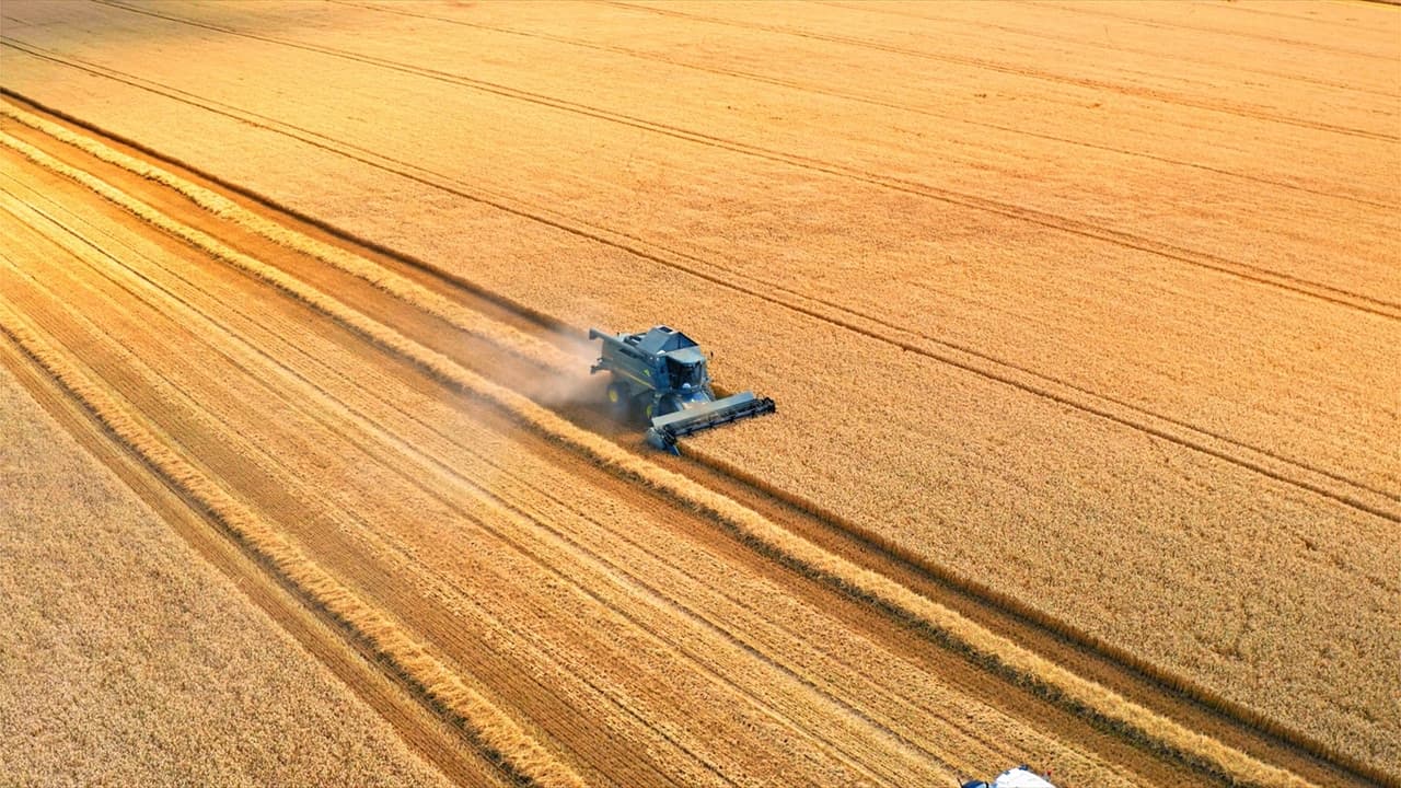 Chãozão - O Maior Portal de Anúncios de Imóveis Rurais do Brasil.