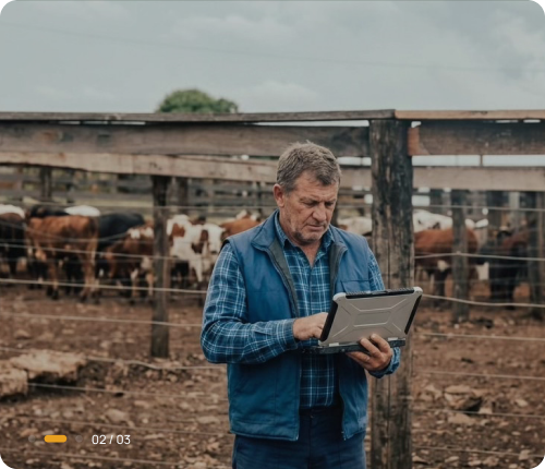 Compradores e investidores - imagem 2